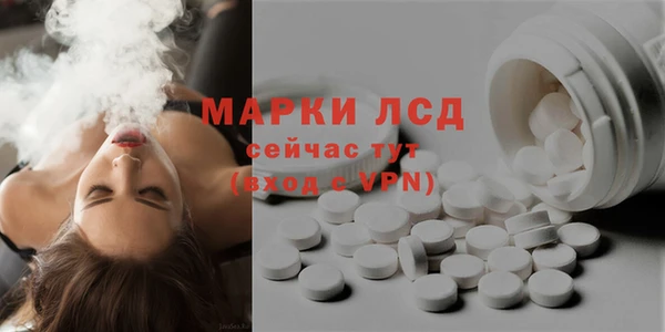 сатива Медвежьегорск